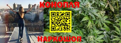соль ск Владивосток
