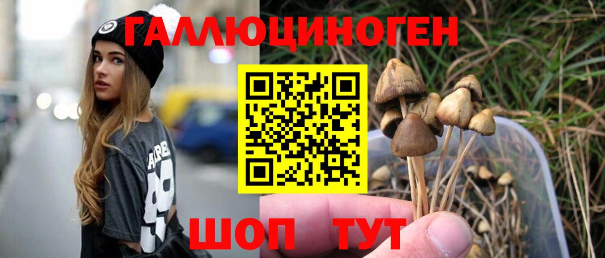 Галлюциногенные грибы мицелий Ижевск