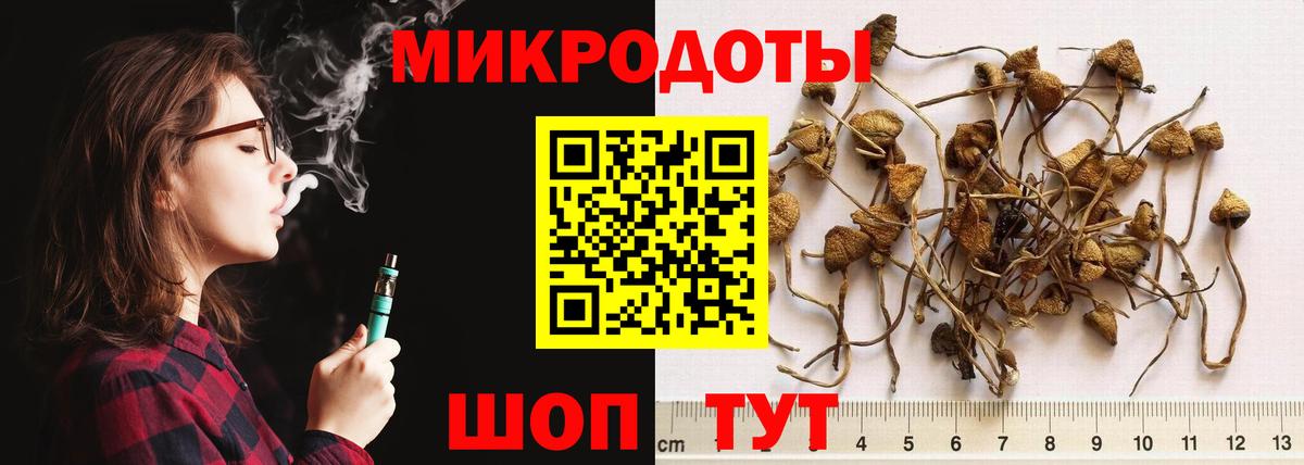 Галлюциногенные грибы мухоморы  Псилоцибиновые грибы прущие грибы  Ижевск  Вход с VPN 