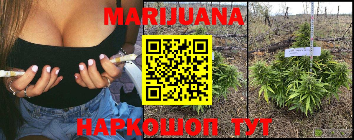 Конопля OG Kush Ижевск