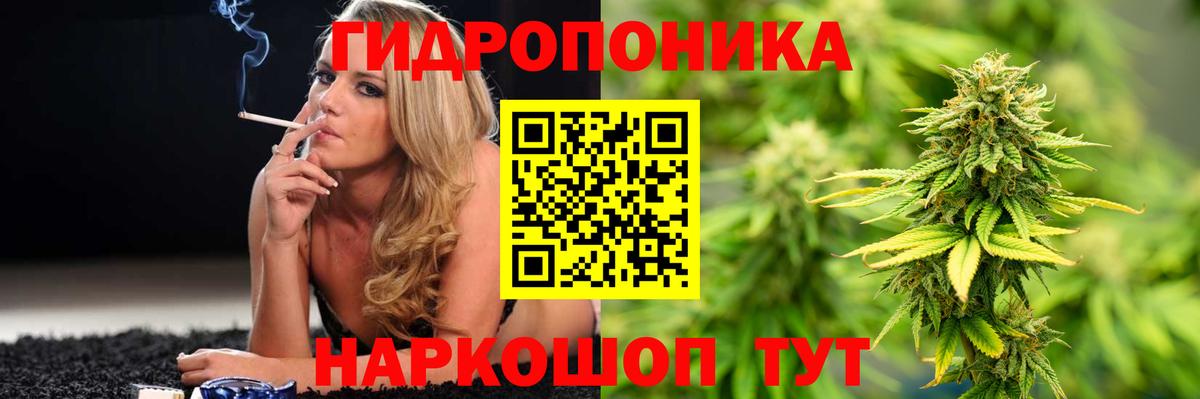 Бошки марихуана ГИДРОПОН  Вход с VPN  Бошки Шишки OG Kush  Ижевск 